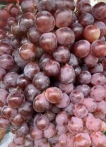 Red nepali grapes.500gm - Image 4