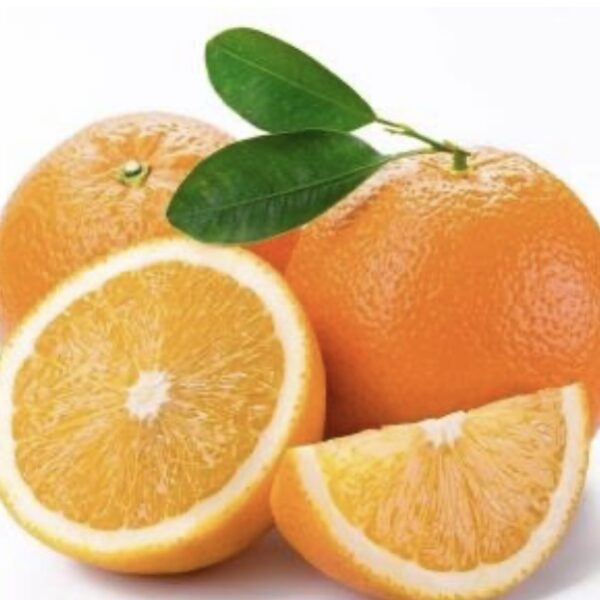 Malta jambo size orange.4 pc(1 pair)