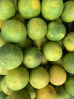 Kolkata jambo size musambi 4 pc(1 pair) - Image 4