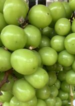 Green nepali grapes. 500gm - Image 5